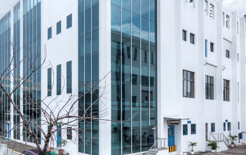 Pune plant